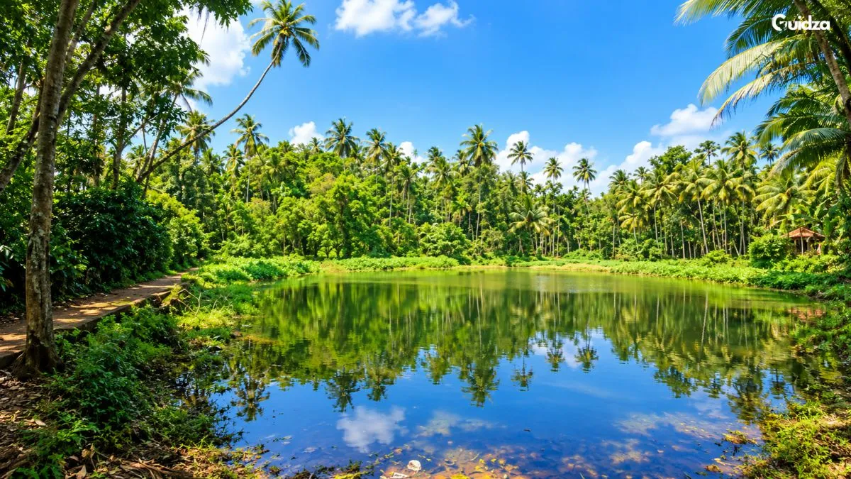 Divar Island